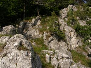 celkovy pohlad na lokalitu